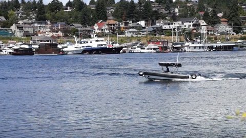 SEATTLE - MAY 30, 2016 - 	Zodiac circles then cruises past yachts anchored to a dock, 			 Lake Union, Seattle
