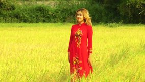 Young lady in Vietnamese traditional dress are posing in rice fields