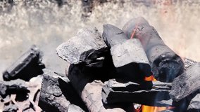 Video footage of charcoal pieces on fire