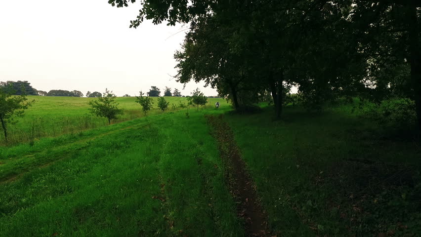 Motorcycle jumps. Motocross in a park in the countryside.  Aerial drone video N.
About green, nature, sports, grass, trees, path, reckless, acrobatic sports, risk, desire for freedom,  motorcycle