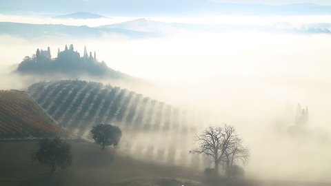 Italy. Tuscany. Early Sunny morning. Thick fog over fields, farmhouses and vineyards
