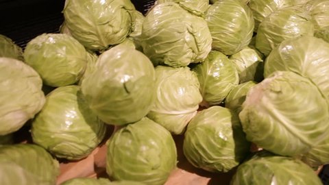 cabbage in a supermarket in the vegetable section