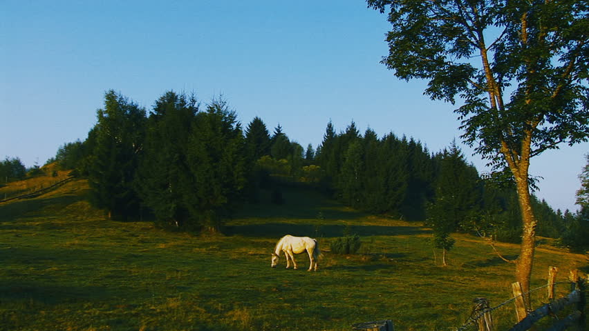 Rural scenery with haystacks and grassland. Romania, cca. 2010.