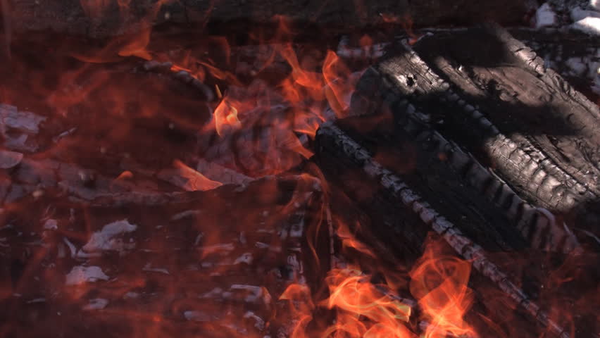 Fire Burning Wood Campfire HD Loop