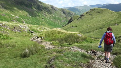 A hiker and their dog descending Hart Crag down Dovedale Beck in the  English Lake District, UK.