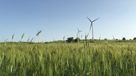 wheat fild wind Wind turbines farm