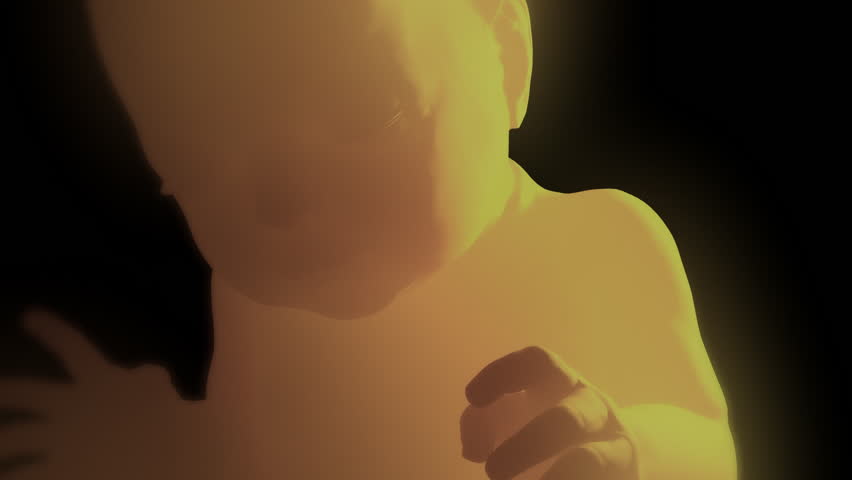 Unborn Baby in the Womb