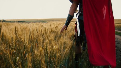 Roman legionary hand running through ripe wheat in the field. Roman empire illustration. Video de stock