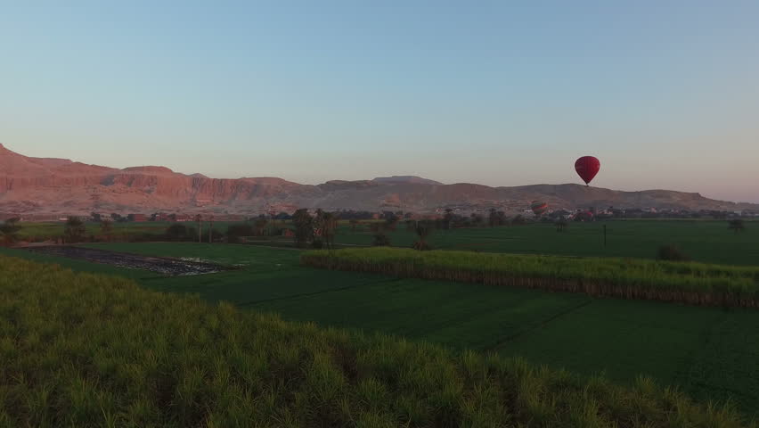 Hot air balloons flying in the sky over the fields in Luxor at sunrise