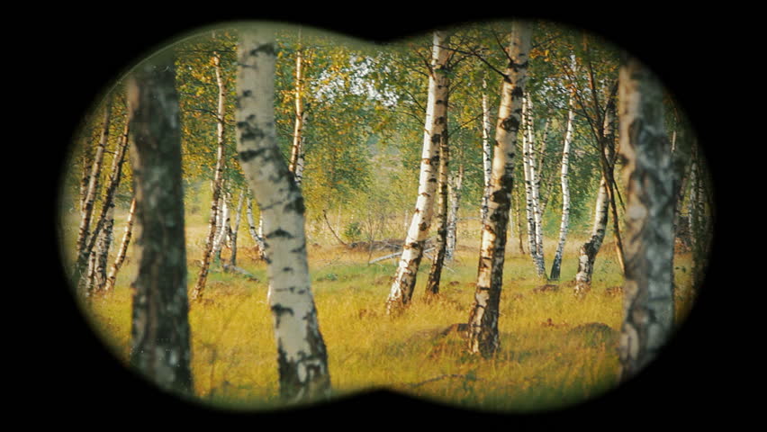Two boys running in the forest. They are chased by someone with binoculars.