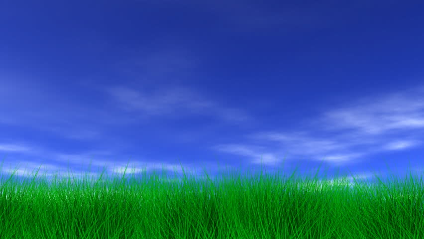 Beautiful Green Grass and Blue Sky