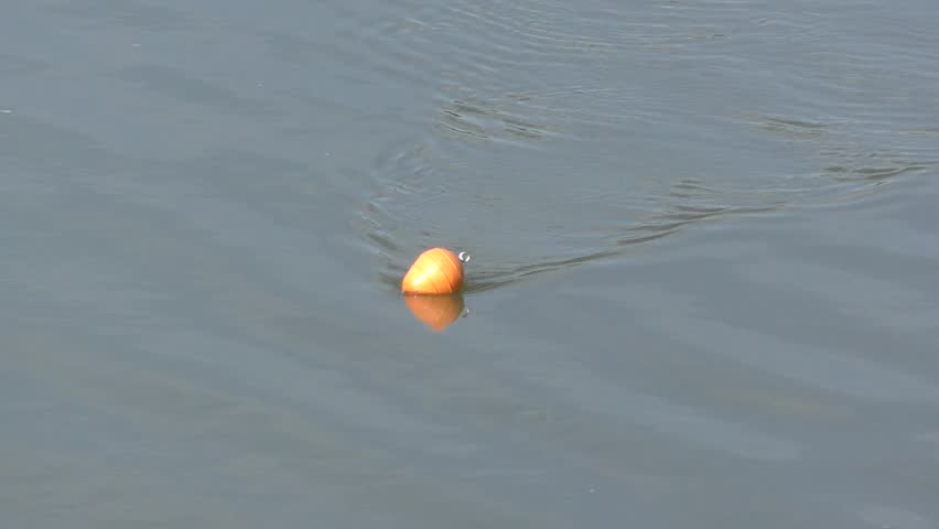The water in the river in summer morning