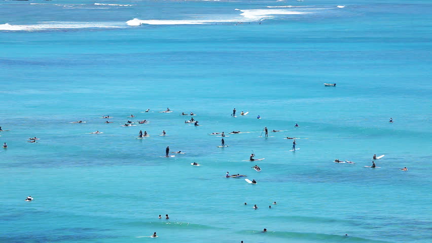 Surfers at Tropical Beach Paradise