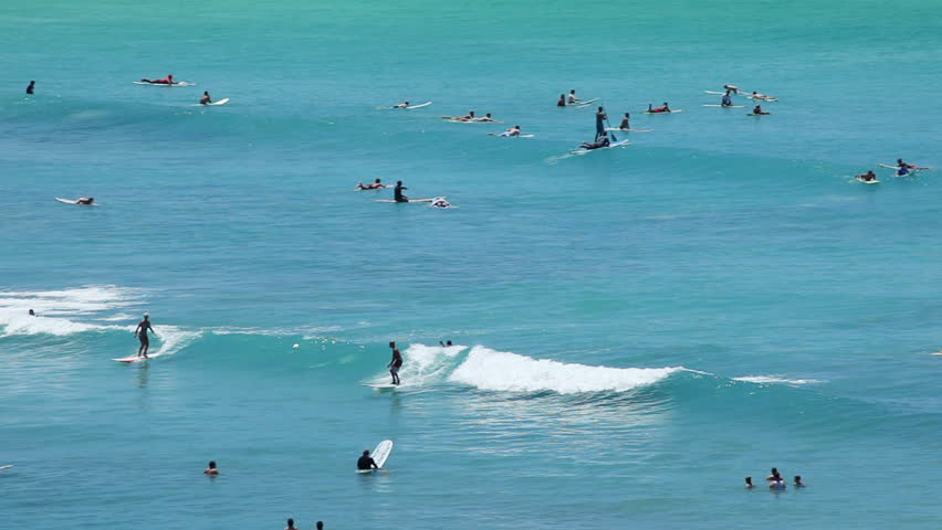 Surfers at Tropical Beach Paradise