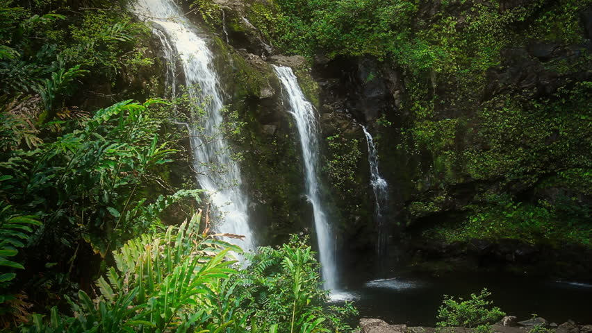 Waterfall in Tropical Paradise
