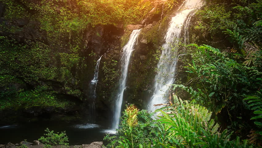 Waterfall in Tropical Paradise HD Loop