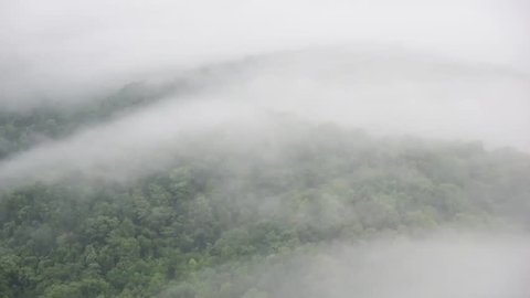 Misty mountain forest fog, Morning fog in dense tropical rain forest