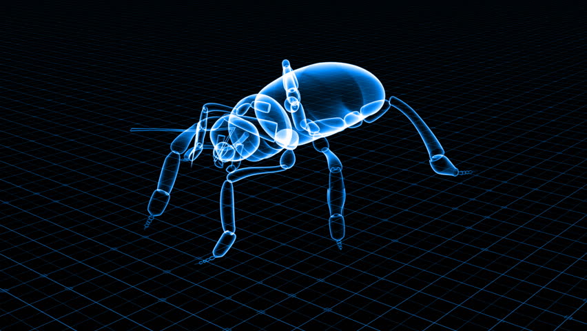 Insect Bug X-Ray Scan Technology