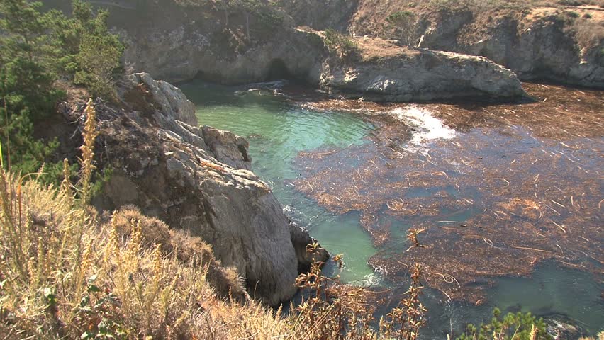 Rocky Shoreline in the West Coast of USA
