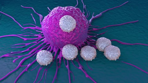 T-cells attacking cancer cell illustration of microscopic photos