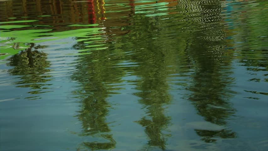 Invernaderos de Xochimilco