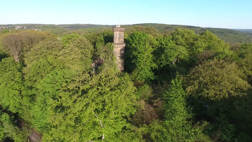 Forest with historic Tower in it. 