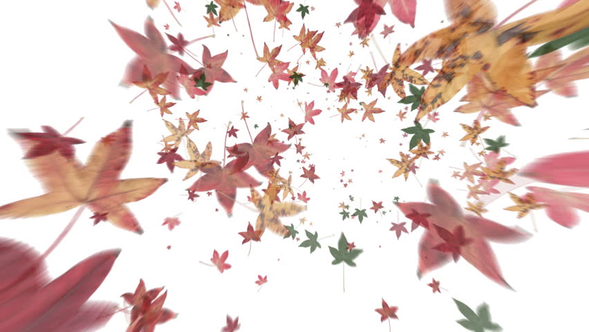 Autumn Leaves Falling Vortex Animation