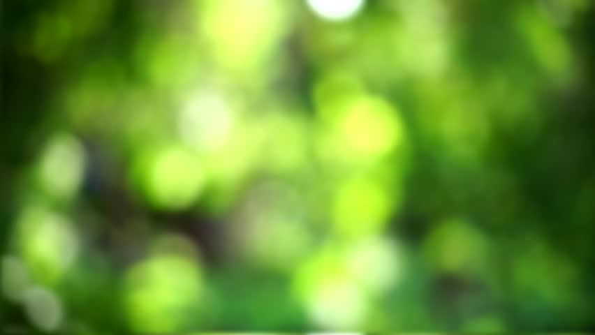 Featured image of post Dslr Blur Background Nature