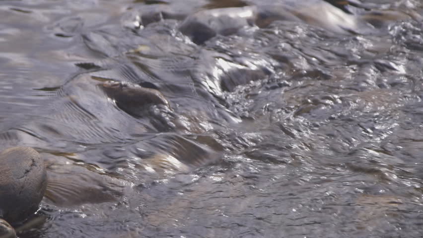 Fast wide mountain river carries clear water down on the stones.
