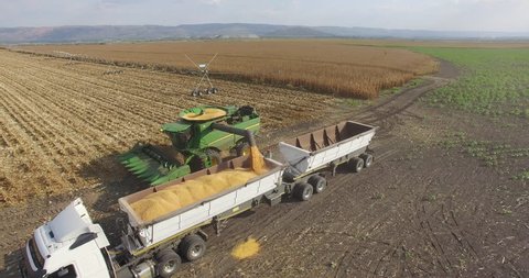 4K aerial view of harvested corn being transferred into grain trucks on a large scale commercial corn farm