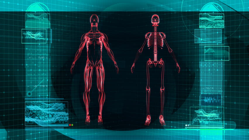 Digital X-Ray Scan of Human Body HD