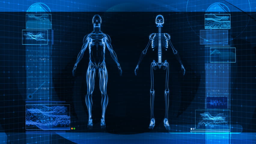 Digital X-Ray Scan of Human Body HD