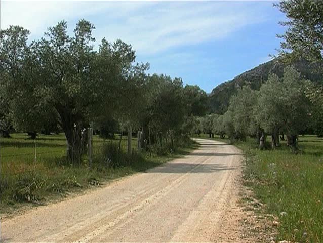 Countryside in Spain 1