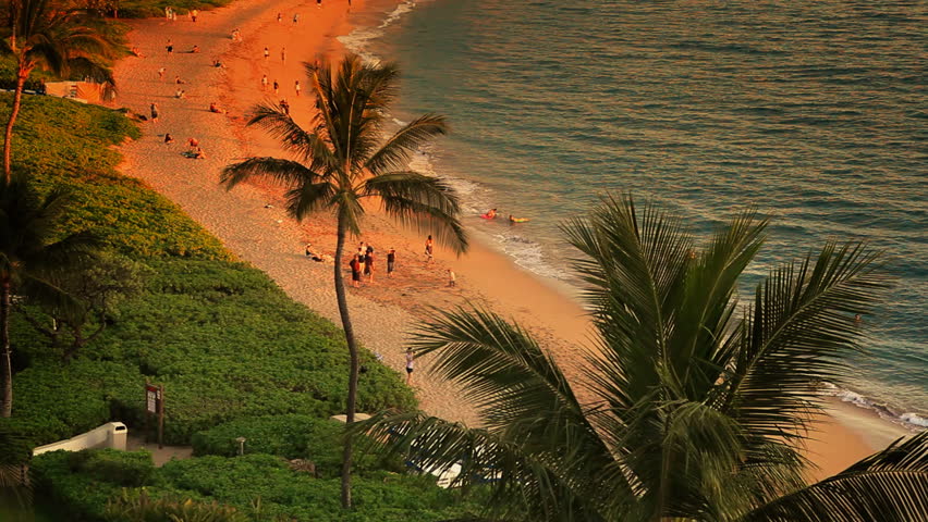 Tropical Beach Resort Paradise at Sunset HD