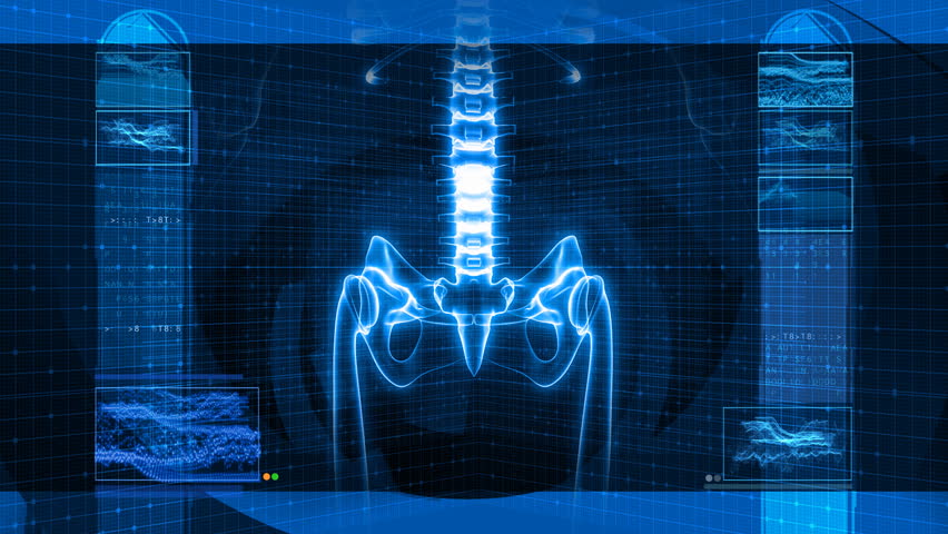 X-Ray of Human Skeleton HD