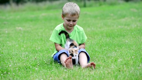 boy playing with kitten in  meadow