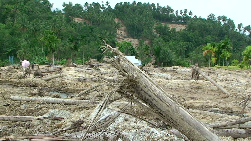 Survivors survey landslide damage in aftermath of powerful earthquake.