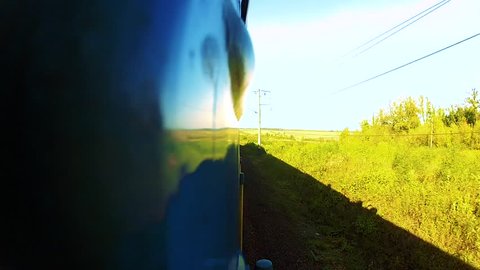View of the trees and environment from a window of quickly going train