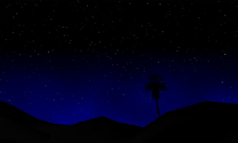 footage of stars coming night in tree