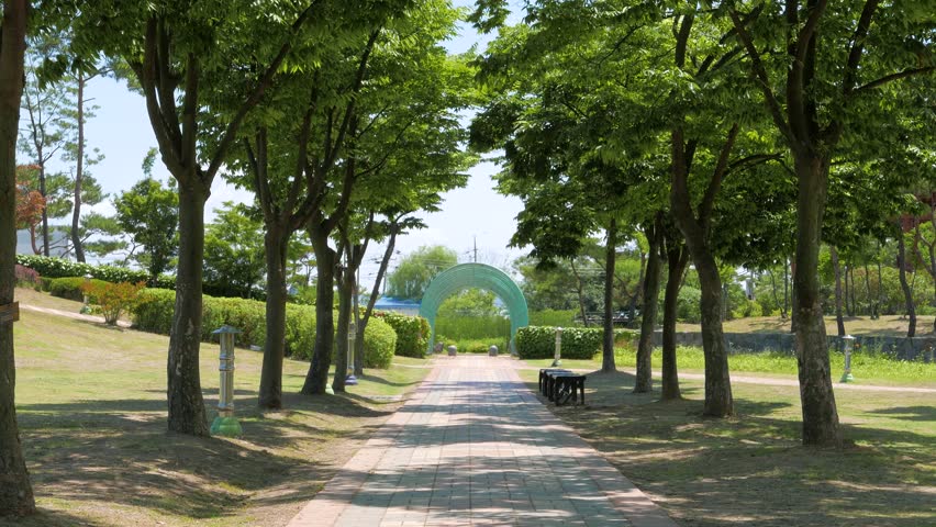 walkway and trees along the way in a park in Korea