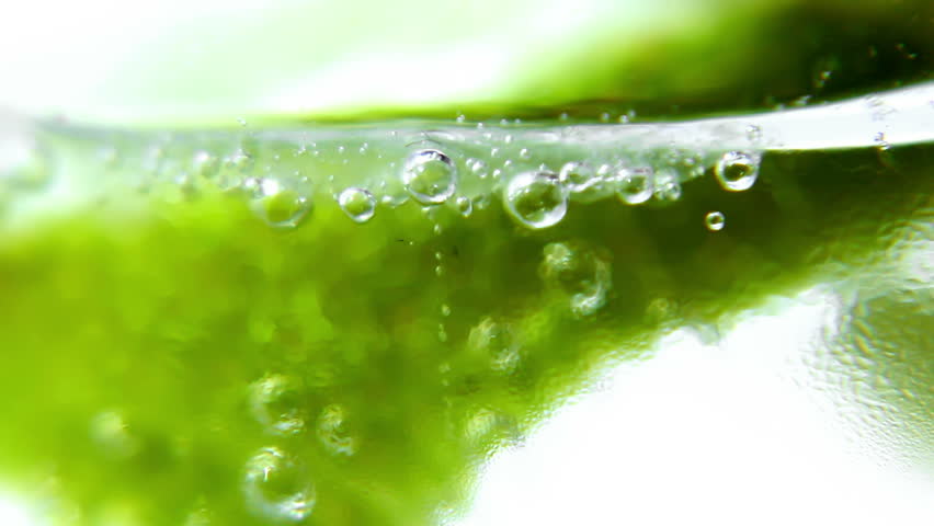 Macro Shot Of Sliced Lime In A Glass Of Gin And Tonic