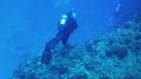 Scuba Diver at Tropical Reef