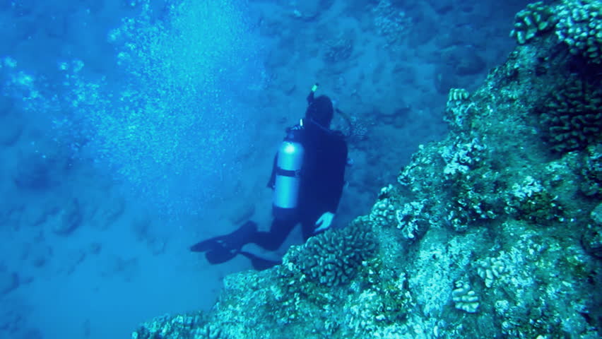Scuba Diver at Tropical Reef