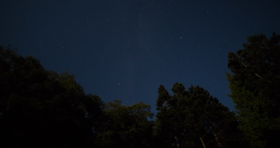 Tongue Point, Washington, USA - view straight up along treetops to the clear starry sky at night until fog - Timelapse with zoom in - October 2014