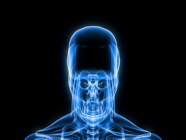 X-Ray Scan of Human Skeleton HD