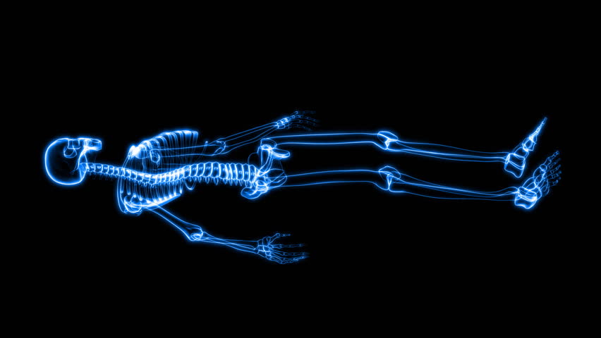 X-Ray Scan of Human Skeleton HD