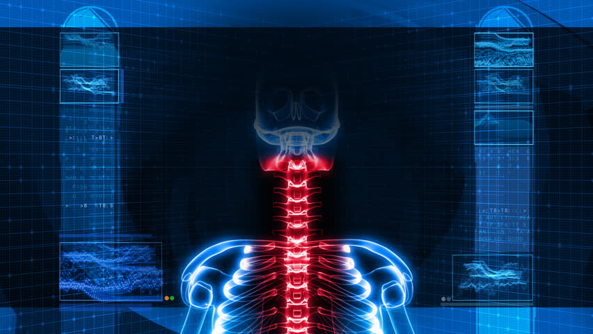 X-Ray of Human Skeleton - Spine HD