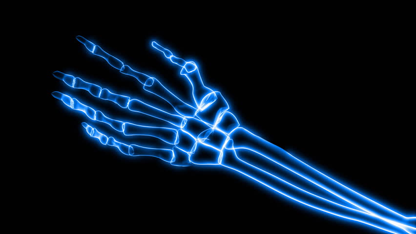 X-Ray of Human Hand Grasping HD