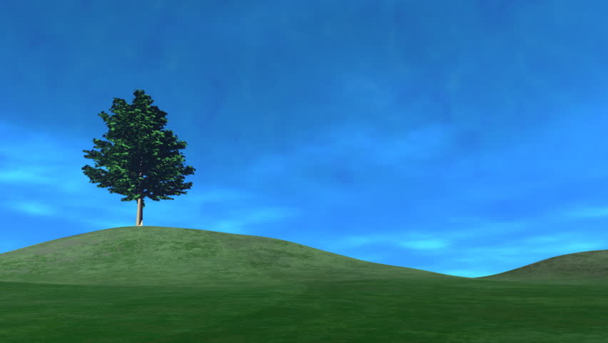 Tree on a Hill, Clouds Rolling By HD