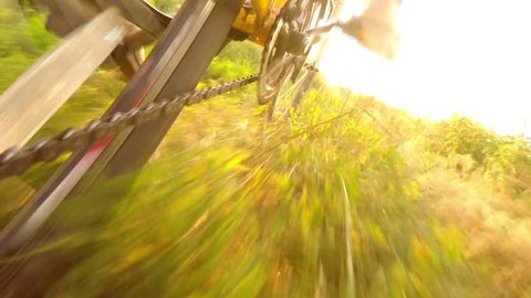 Slow motion cyclist rides a bike through the grass, sunbeams in the lens, low point shooting, wide angle